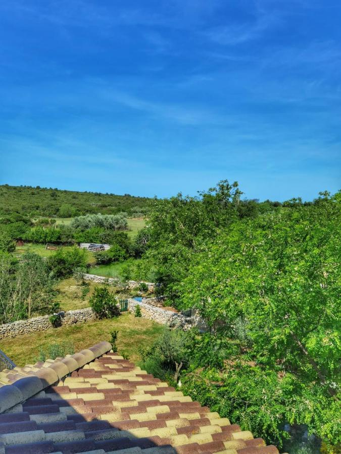 Villa Dvori Dida Mile Sveti Petar  Eksteriør billede